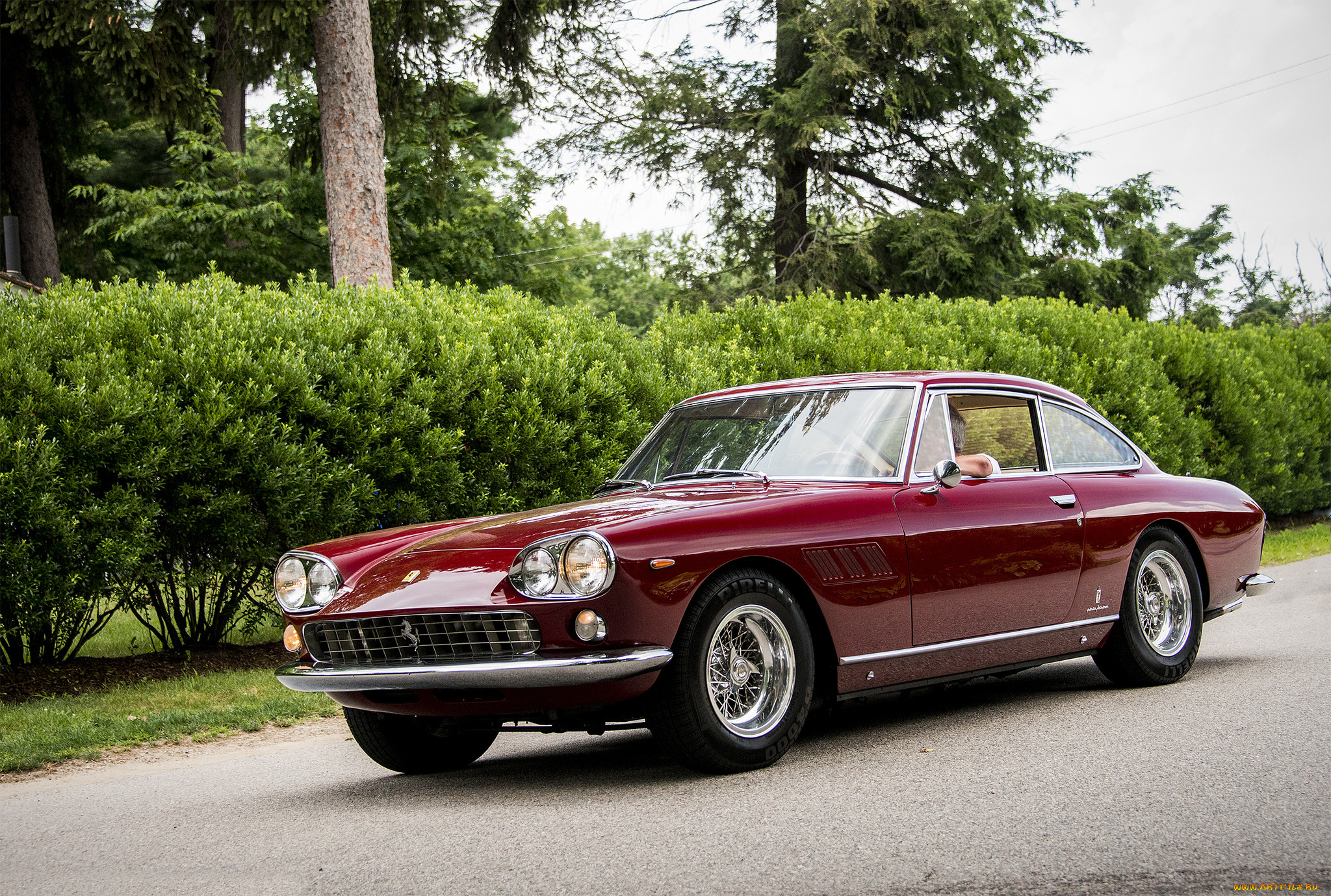 ferrari 330, , ferrari, , , 